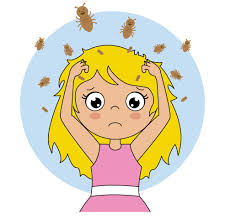 Pediculoza na prázdninách